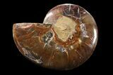 Agatized Ammonite Fossil (Half) - Madagascar #85211-1